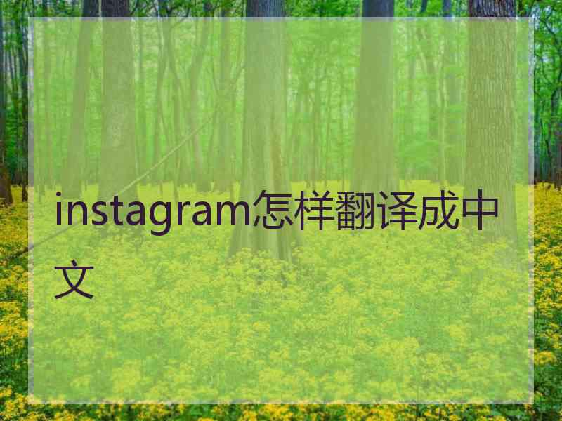 instagram怎样翻译成中文