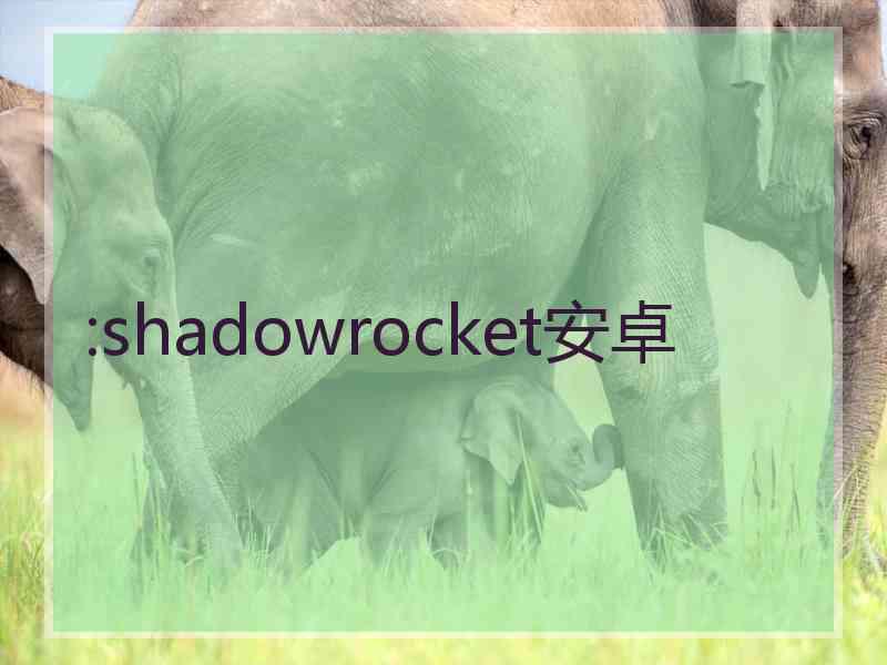 :shadowrocket安卓