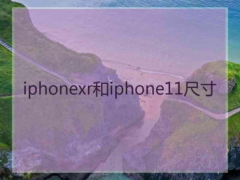 iphonexr和iphone11尺寸