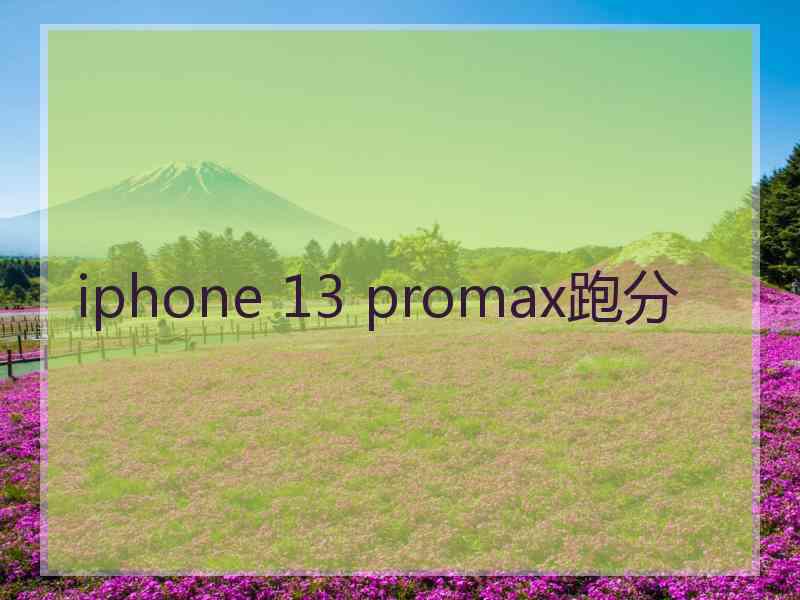 iphone 13 promax跑分