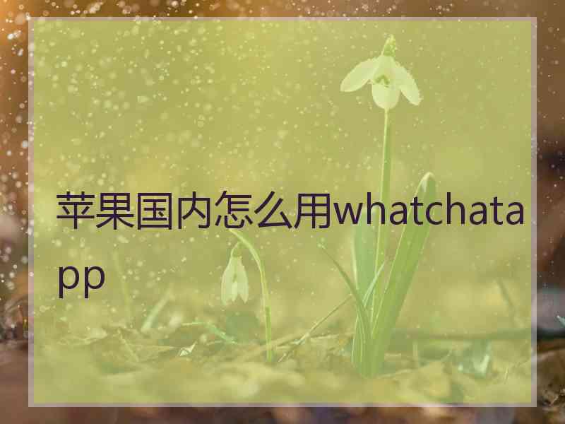 苹果国内怎么用whatchatapp