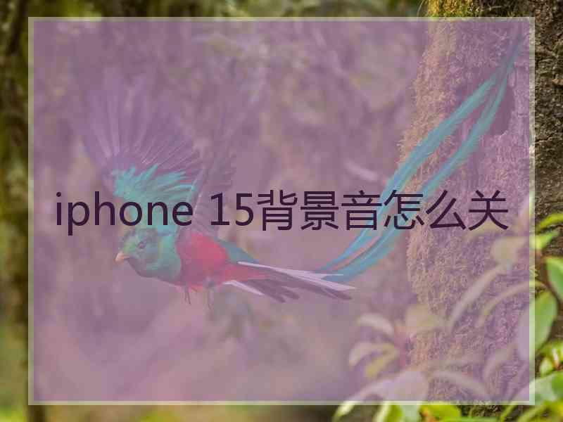 iphone 15背景音怎么关