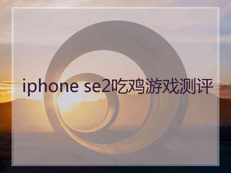 iphone se2吃鸡游戏测评