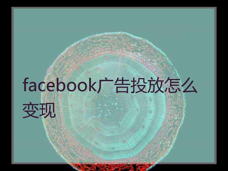 facebook广告投放怎么变现