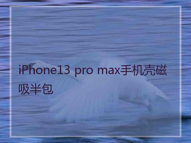 iPhone13 pro max手机壳磁吸半包