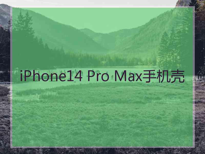 iPhone14 Pro Max手机壳