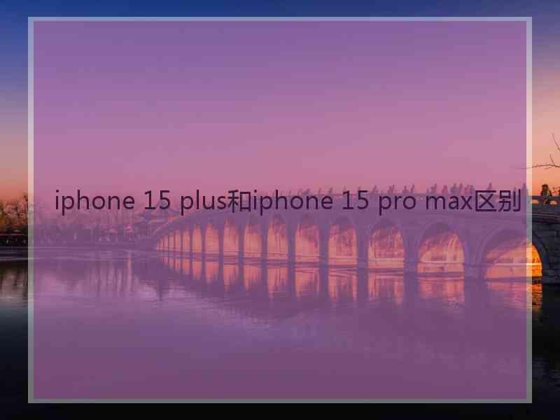 iphone 15 plus和iphone 15 pro max区别