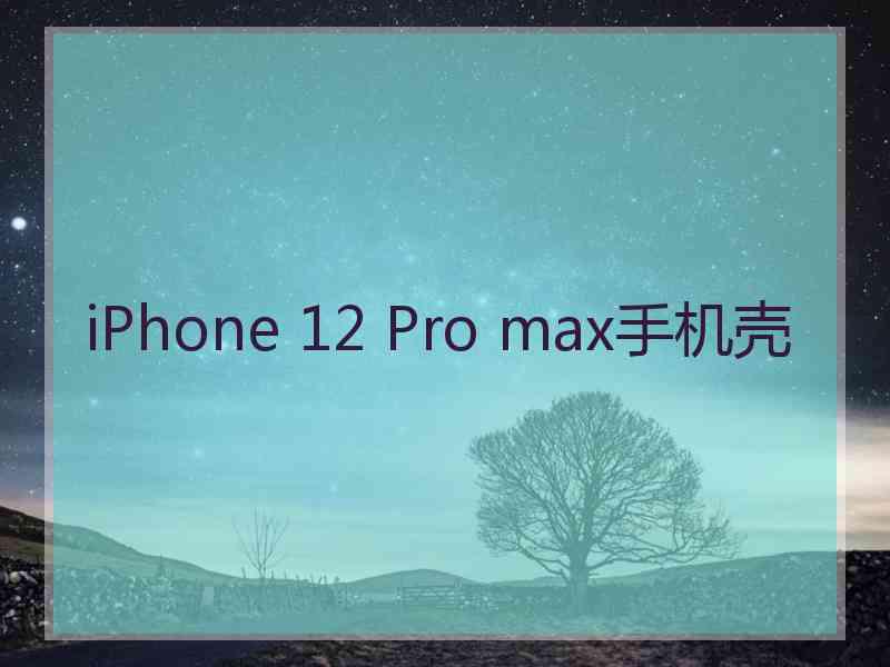 iPhone 12 Pro max手机壳