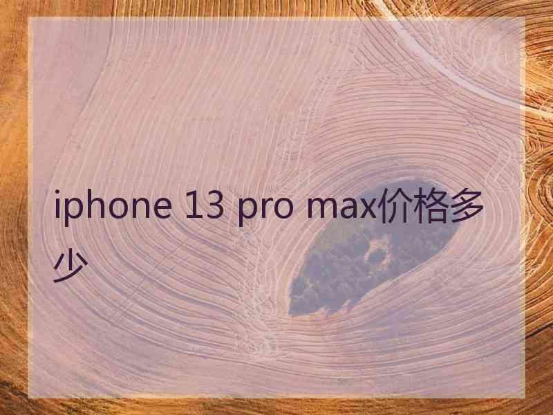 iphone 13 pro max价格多少