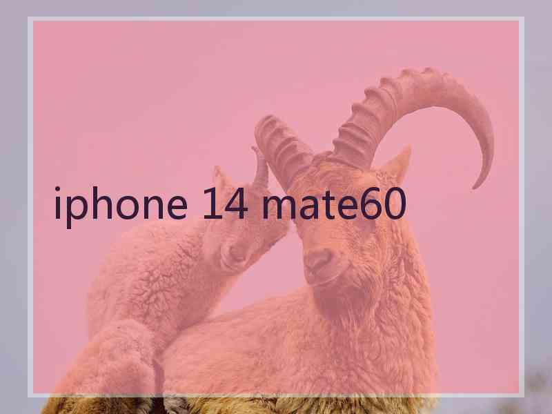 iphone 14 mate60