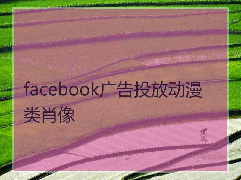 facebook广告投放动漫类肖像