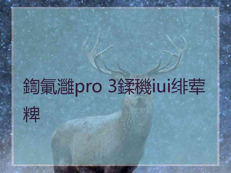 鍧氭灉pro 3鍒穖iui绯荤粺