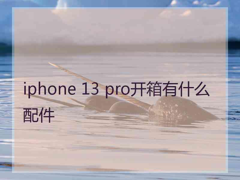 iphone 13 pro开箱有什么配件