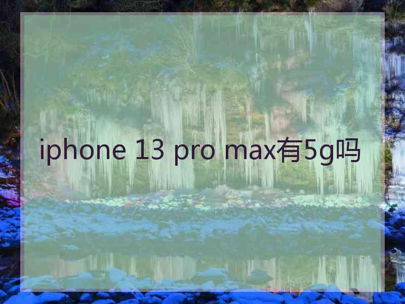 iphone 13 pro max有5g吗