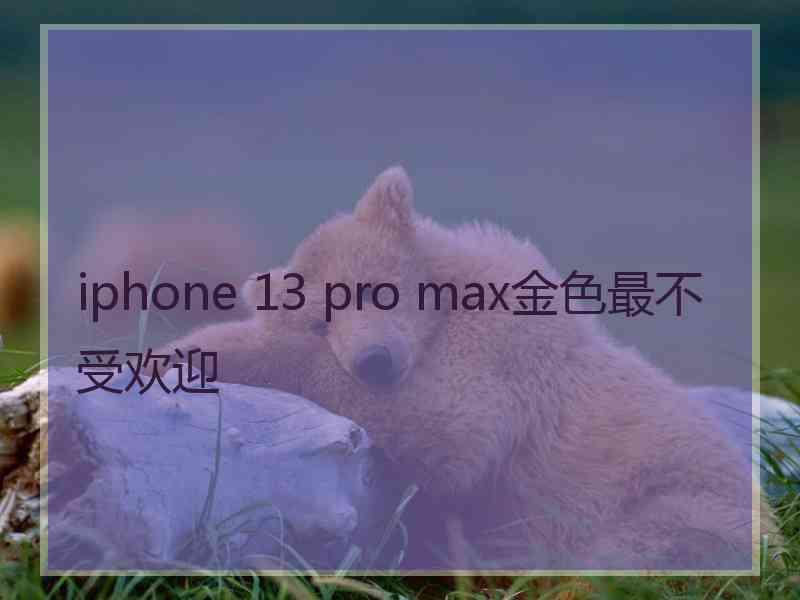 iphone 13 pro max金色最不受欢迎