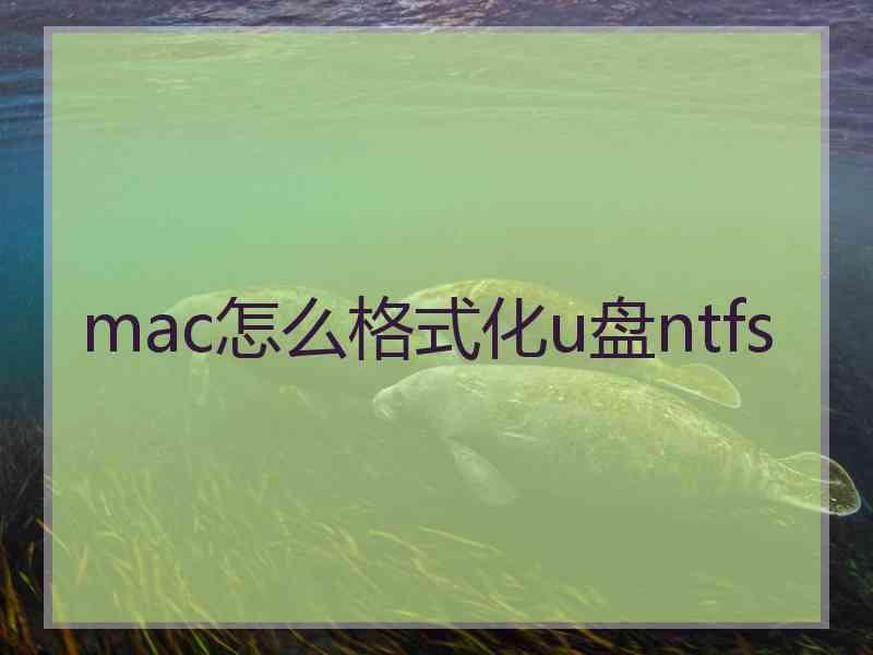 mac怎么格式化u盘ntfs