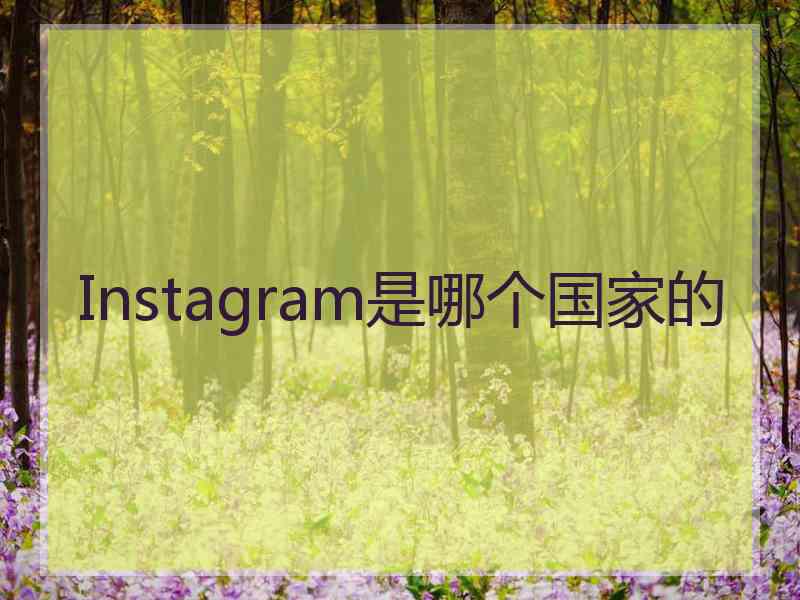 Instagram是哪个国家的