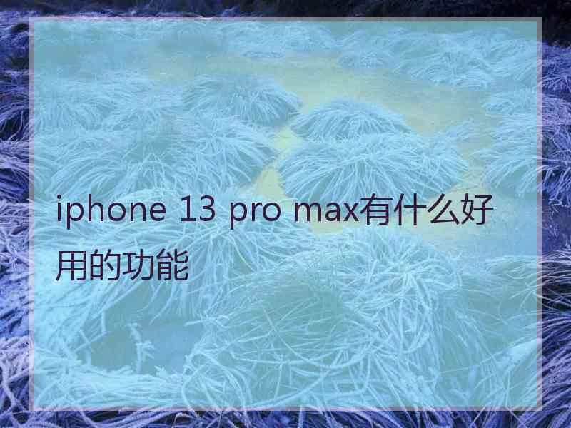 iphone 13 pro max有什么好用的功能