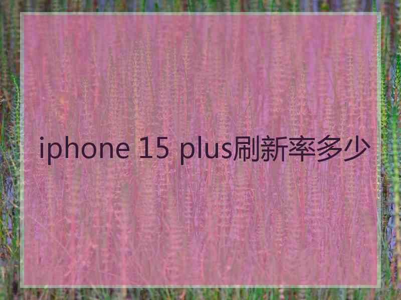 iphone 15 plus刷新率多少