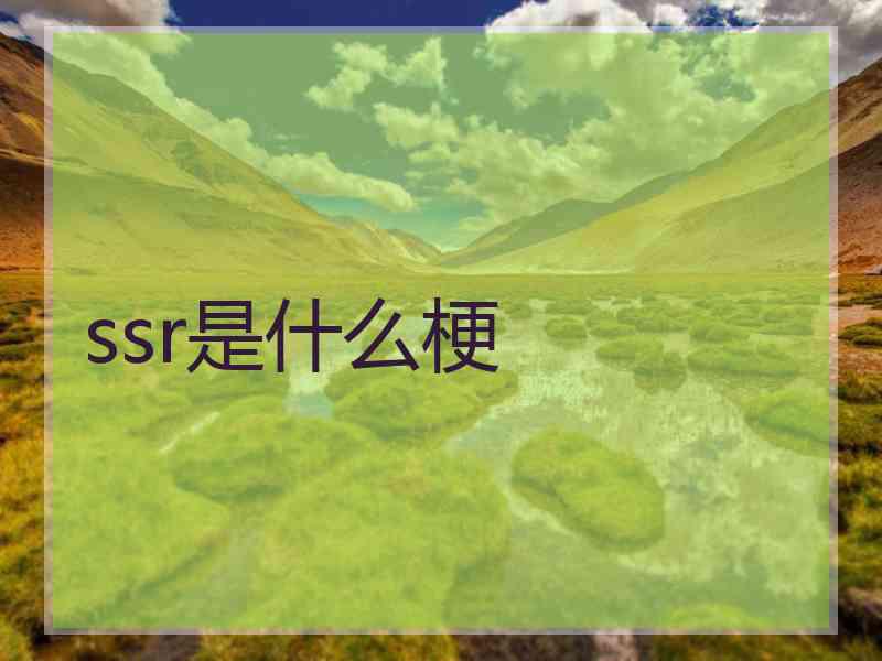 ssr是什么梗