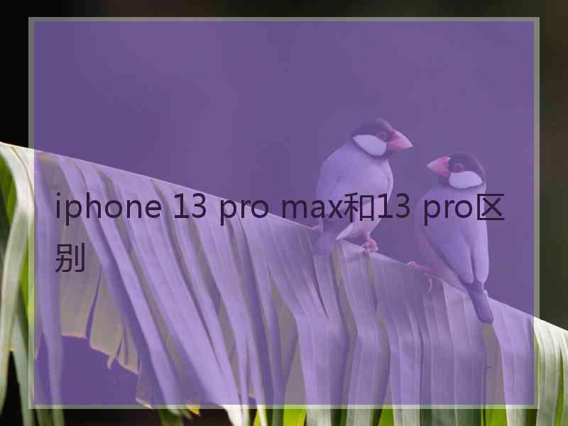 iphone 13 pro max和13 pro区别