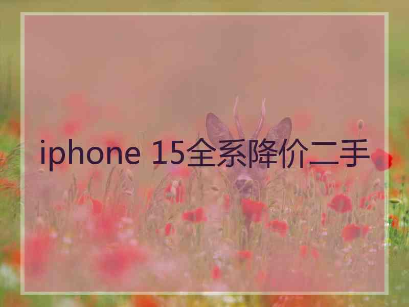 iphone 15全系降价二手