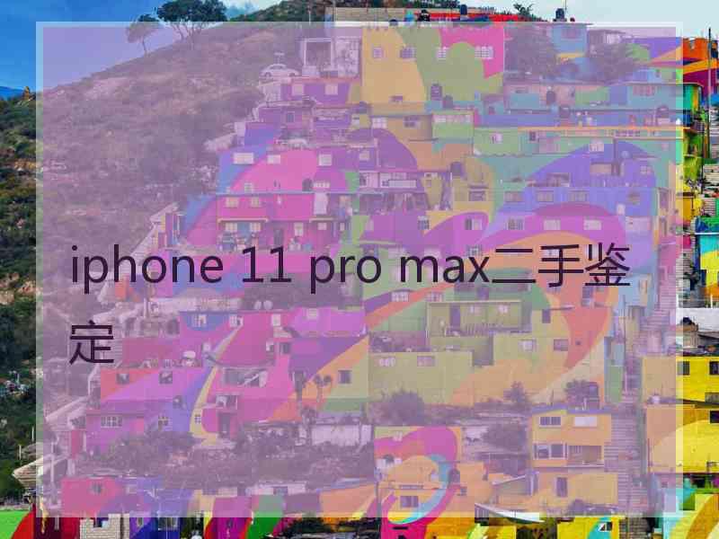 iphone 11 pro max二手鉴定