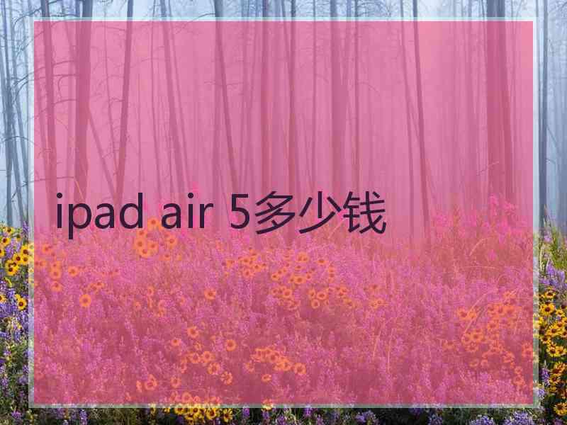 ipad air 5多少钱