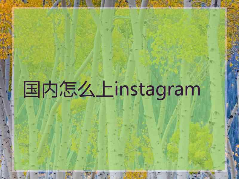 国内怎么上instagram