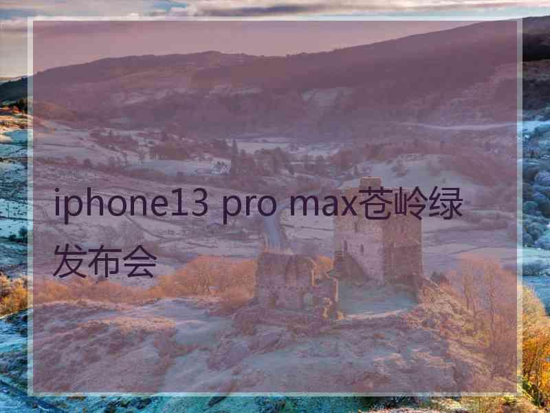 iphone13 pro max苍岭绿发布会