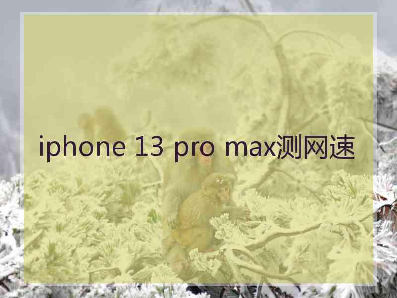 iphone 13 pro max测网速