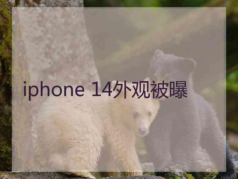 iphone 14外观被曝