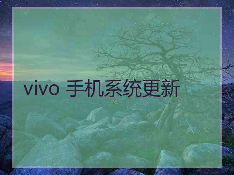 vivo 手机系统更新