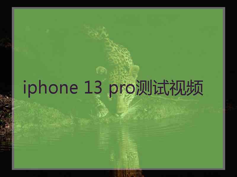 iphone 13 pro测试视频