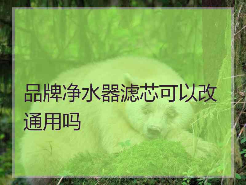 品牌净水器滤芯可以改通用吗