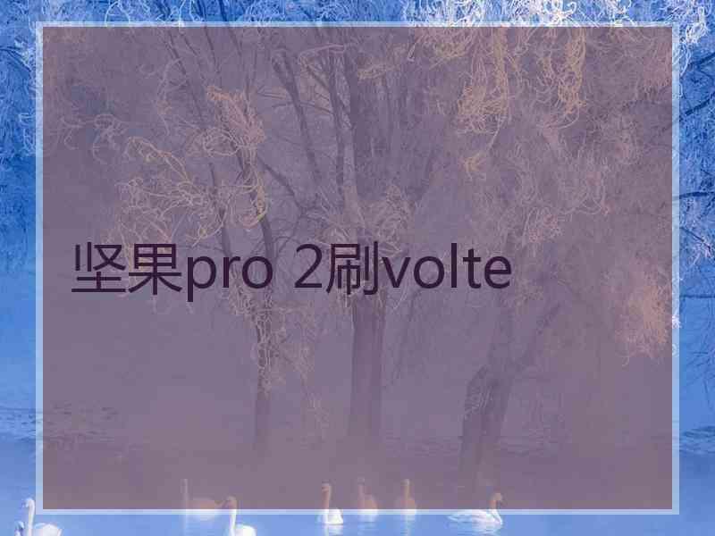 坚果pro 2刷volte