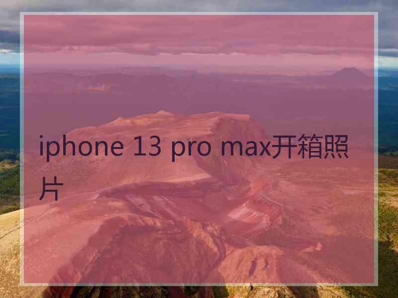 iphone 13 pro max开箱照片