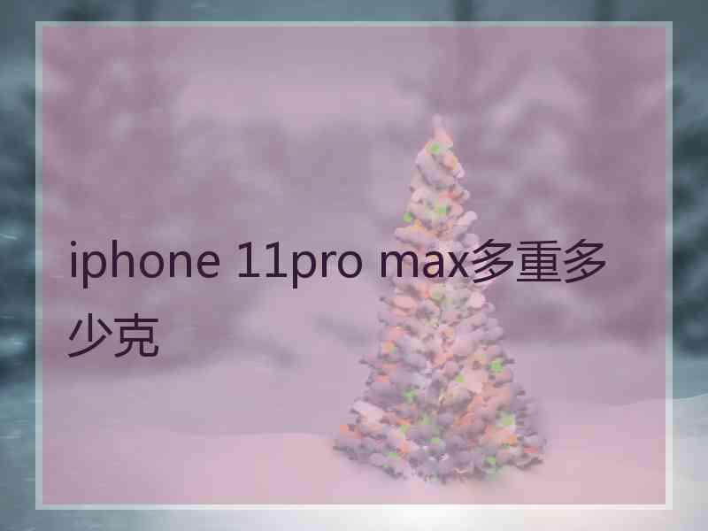 iphone 11pro max多重多少克