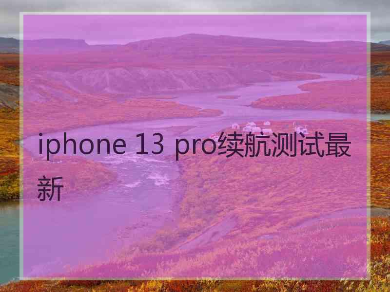 iphone 13 pro续航测试最新