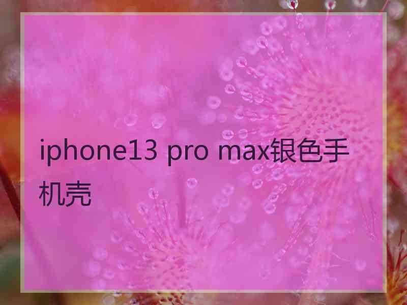 iphone13 pro max银色手机壳