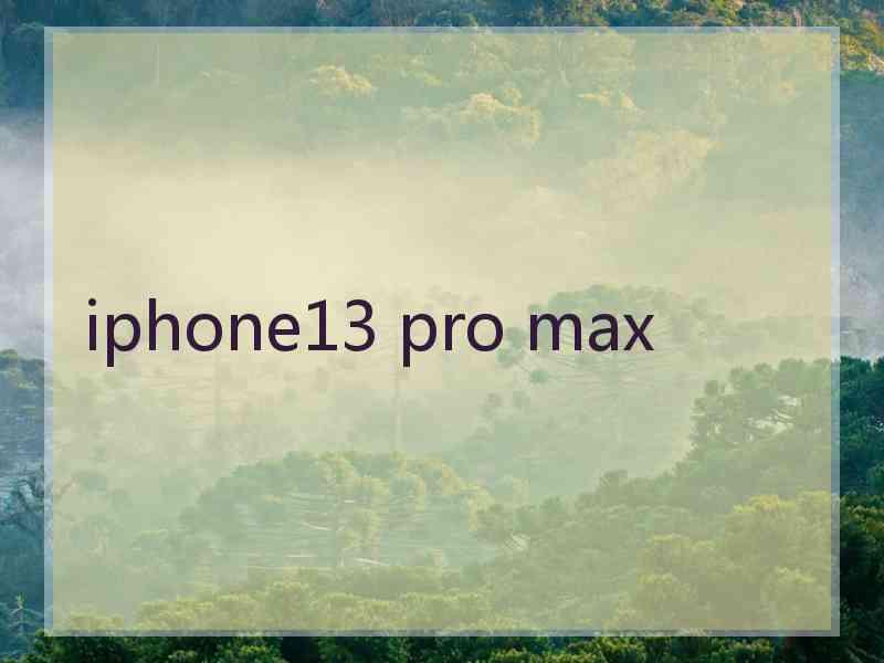 iphone13 pro max