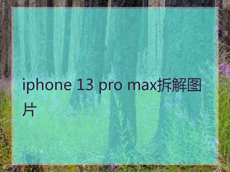 iphone 13 pro max拆解图片