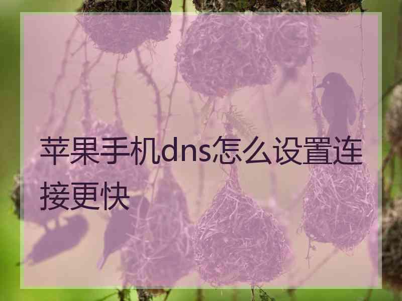 苹果手机dns怎么设置连接更快