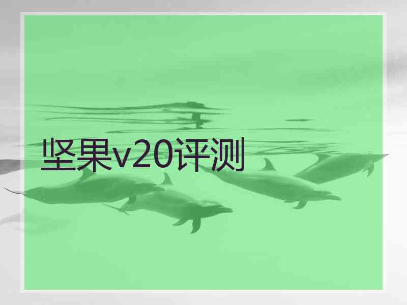 坚果v20评测