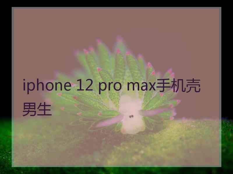 iphone 12 pro max手机壳男生