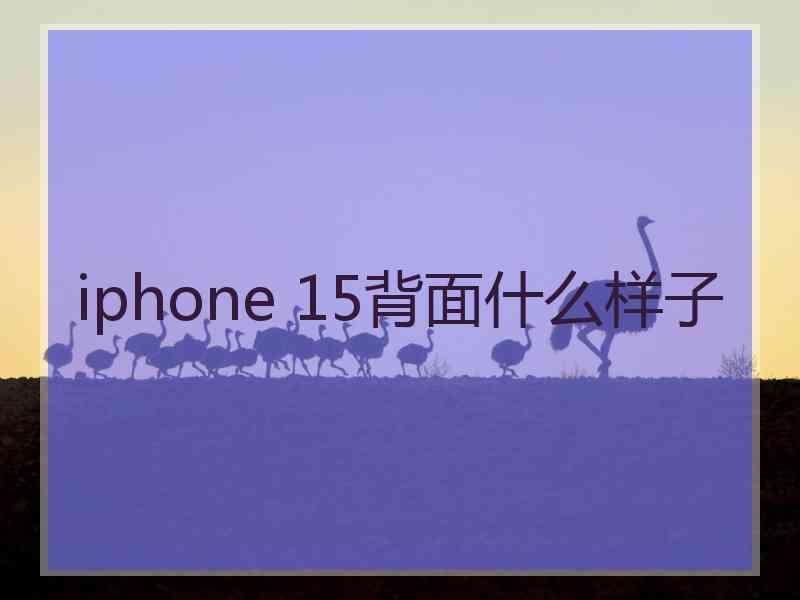 iphone 15背面什么样子