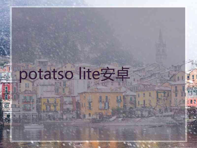 potatso lite安卓