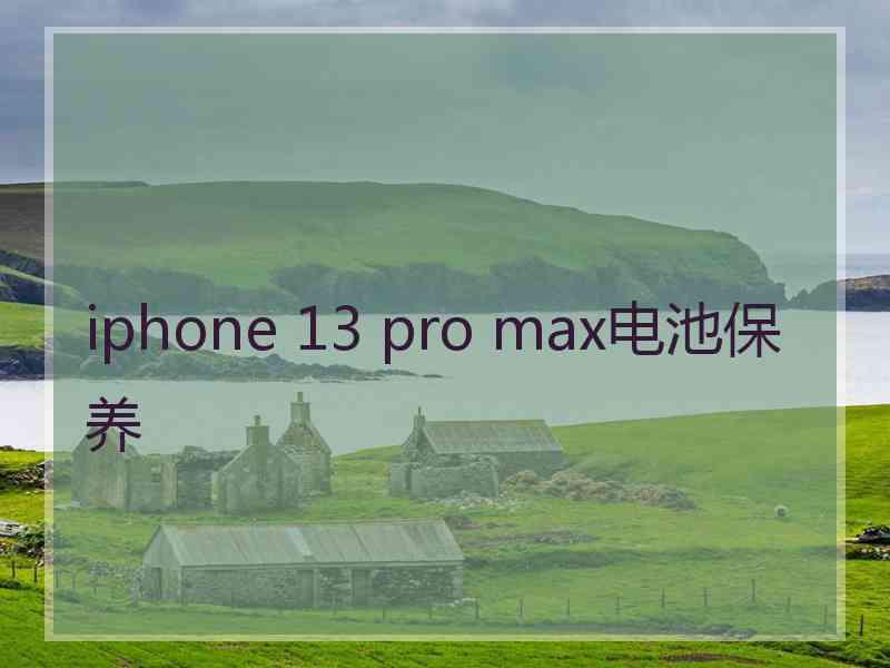 iphone 13 pro max电池保养