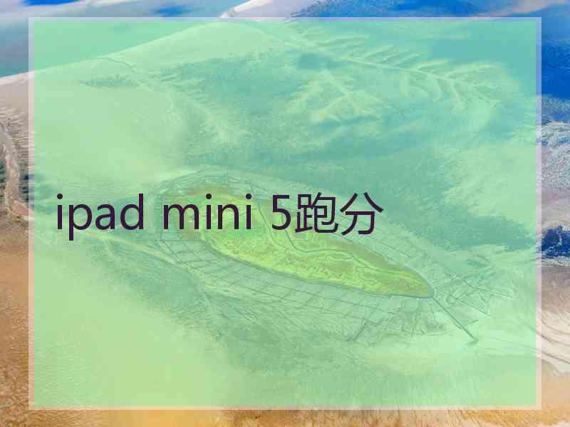 ipad mini 5跑分