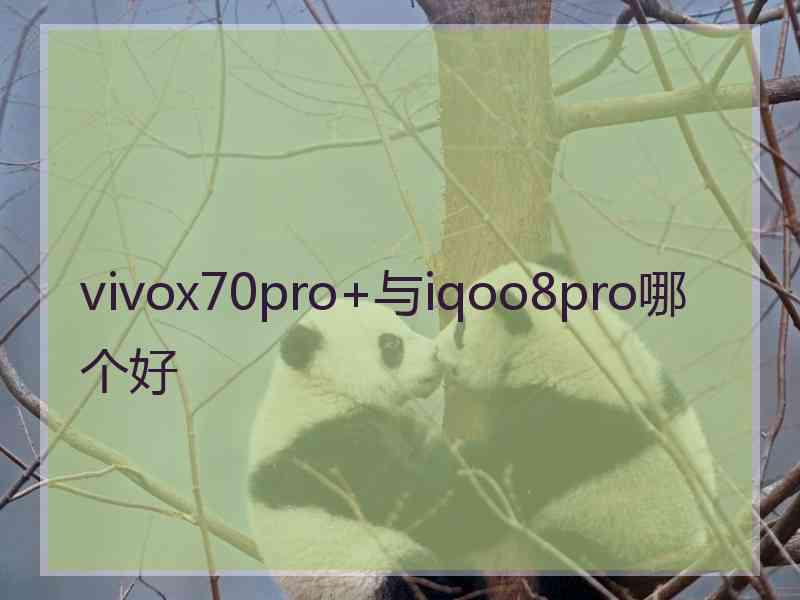 vivox70pro+与iqoo8pro哪个好